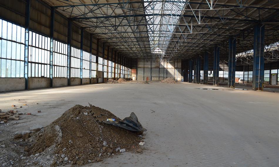 2013-7-8-1114líh_Háj (1).jpg